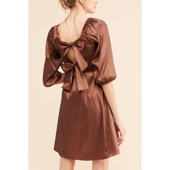 NWT Hosbjerg Women's Brown Elora Buckle V-Neckline Mini Dress Size Small - Picture 2 of 16